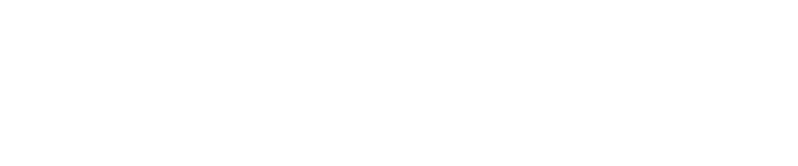 Mills Dunlop Capital Partners